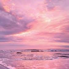 Hoàng Quốc Trung avatar