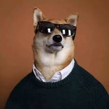 Lê Gia Lạc avatar