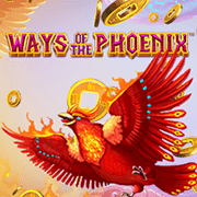 Con Đường Phượng Hoàng screenshot